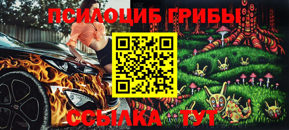 Псилоцибиновые грибы Cubensis Фрязино