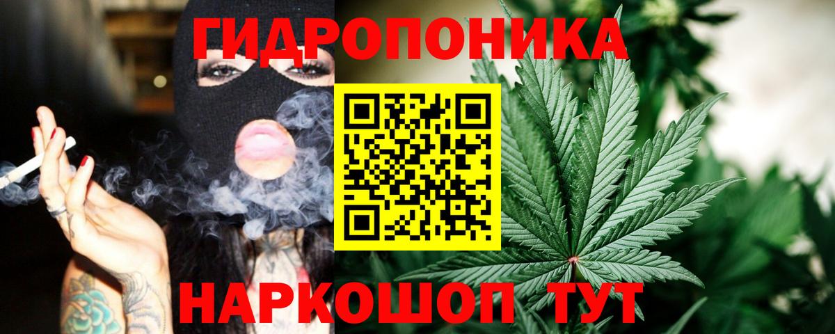 Бошки Шишки план Фрязино